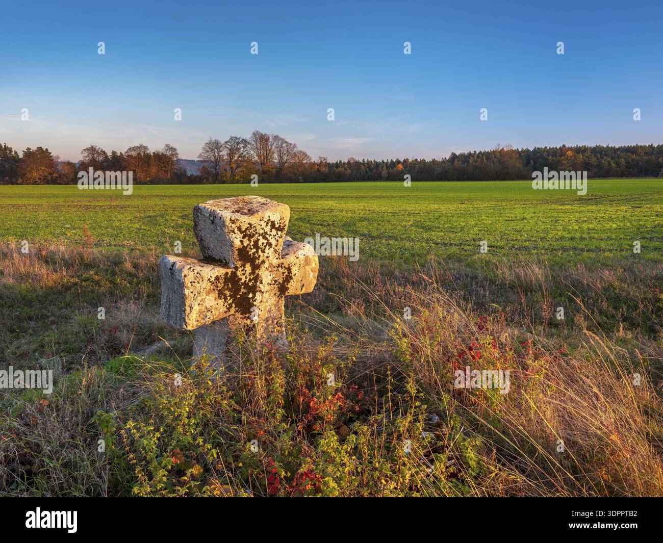 Croce medievale in pietra ai margini del campo in autunno, Suehnekreuz, Mordkreuz, Liebenstein, Turingia, Germania Foto Stock