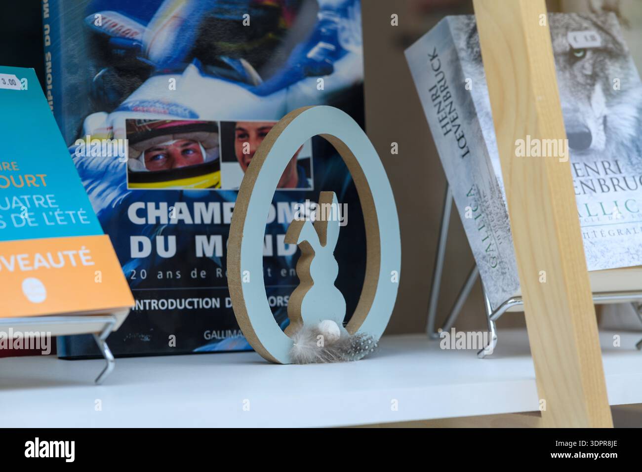 Luogo sconosciuto - 12 maggio 2021: Una vista ravvicinata di libri con titoli francesi visibili, tra cui "Champions du Monde" e "Gallica", esposti in verticale su uno scaffale bianco con una figura decorativa di coniglio in legno in primo piano. Foto Stock