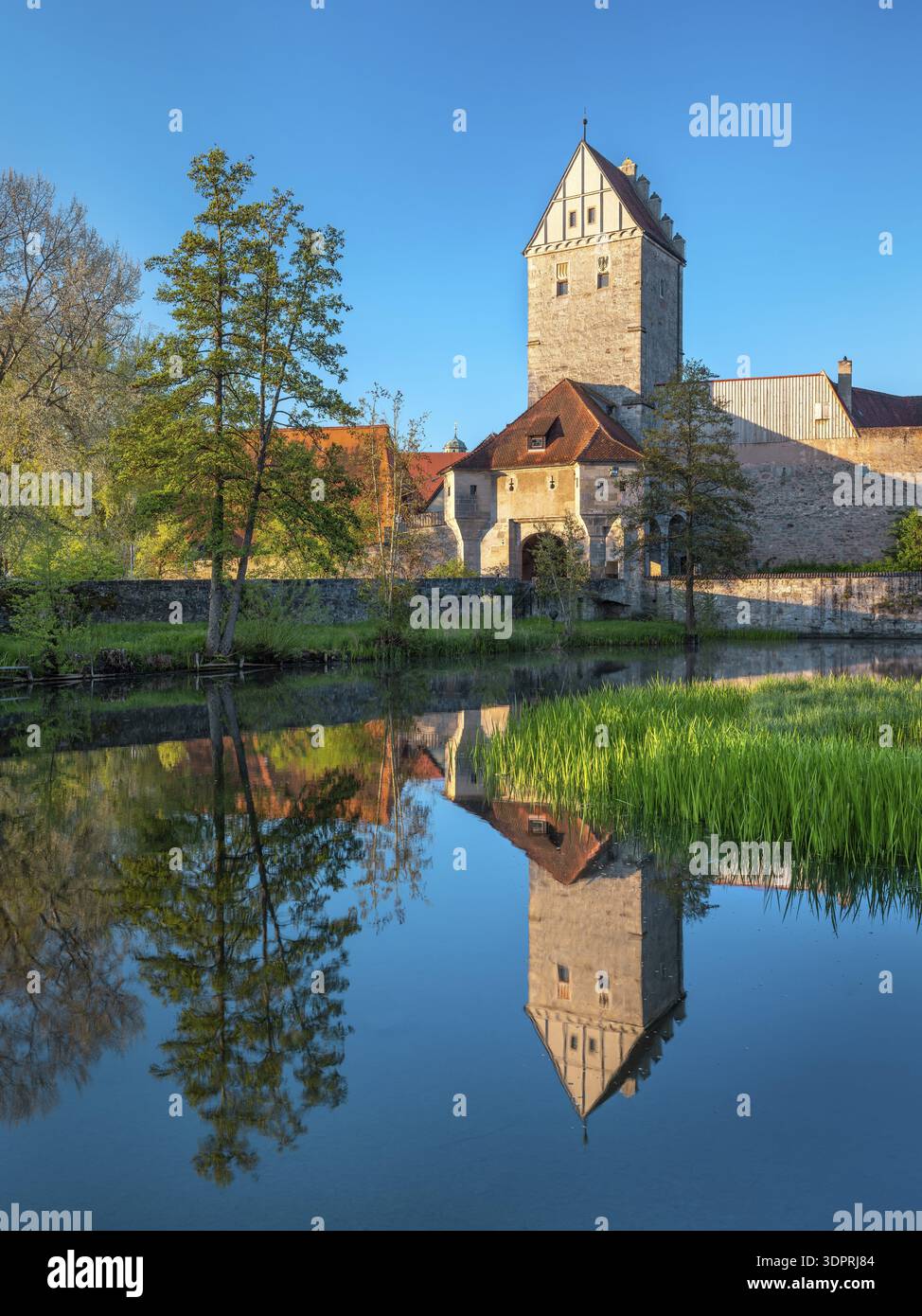 Vista sul laghetto di Rothenburg fino al centro storico con le mura della città e la porta di Rothenburg, la strada romantica, Dinkelsbuehl, la Franconia media, la Baviera, G Foto Stock