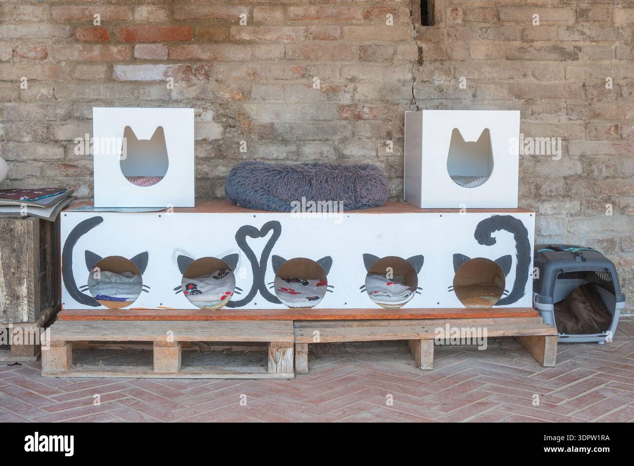Un semplice letto gatto all'aperto posto a terra vicino a un vecchio muro di mattoni, che mostra un tranquillo dettaglio urbano quotidiano e un ambiente stradale adatto agli animali Foto Stock