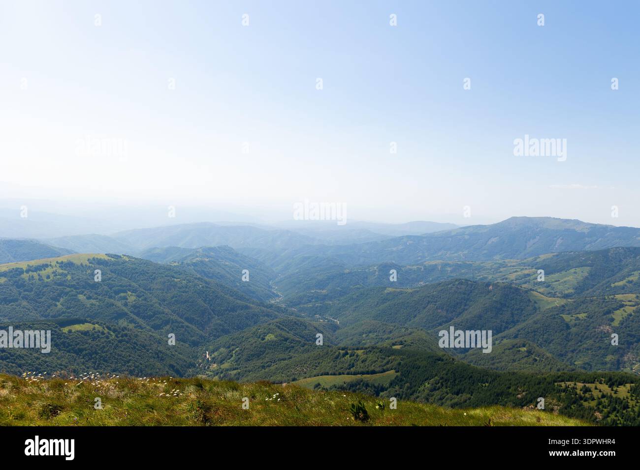 Vista su colline e valli verdi ondulate ricoperte di vegetazione lussureggiante sotto un cielo sereno, Midzor, Bela Palanka, Pirotski Okrug, Serbia. Foto Stock