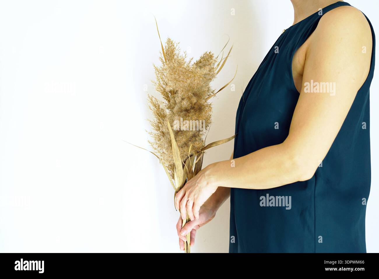 Donna che tiene in mano un bouquet di canne minimalista essiccato. Raffigura elementi interni ispirati alla natura, stile dello spazio dedicato al benessere, ambienti attenti alla salute. Foto Stock