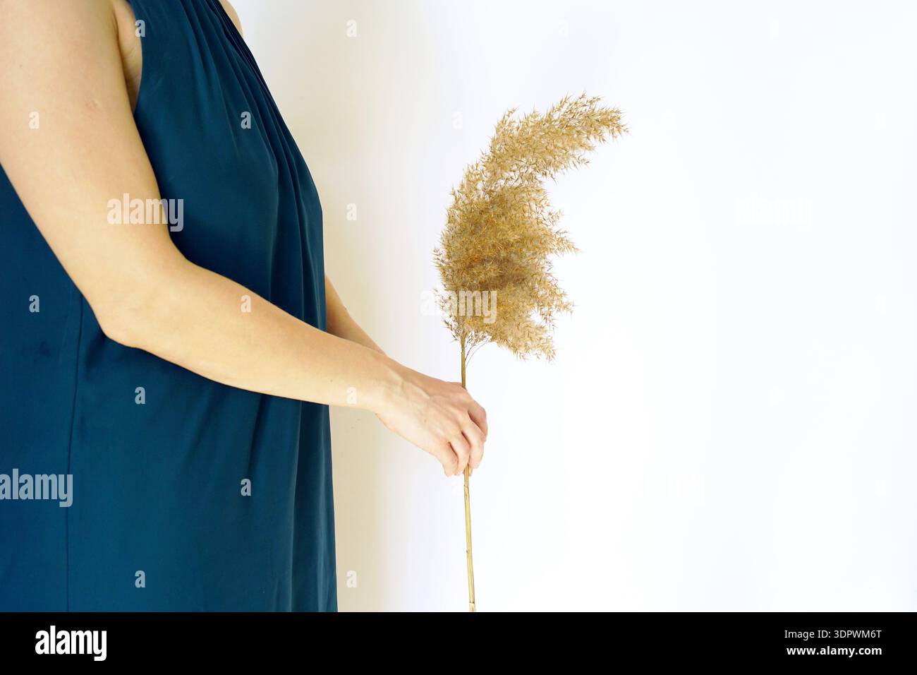 Donna che tiene le canne essiccate in interni minimalisti. Metafora visiva del cambiamento, della maturità e dell'impermanenza, dell'umore riflettente e della tattilità sensoriale Foto Stock