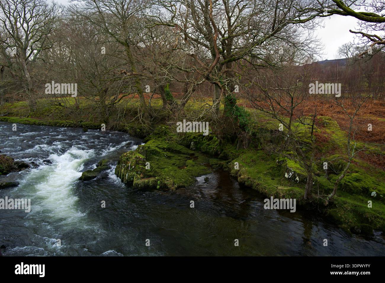 Il fiume Ogwen ha la sua sorgente nel lago Ogwen in Snowdonia, ma è visto qui nei suoi tratti inferiori vicino a Bethesda. Foto Stock