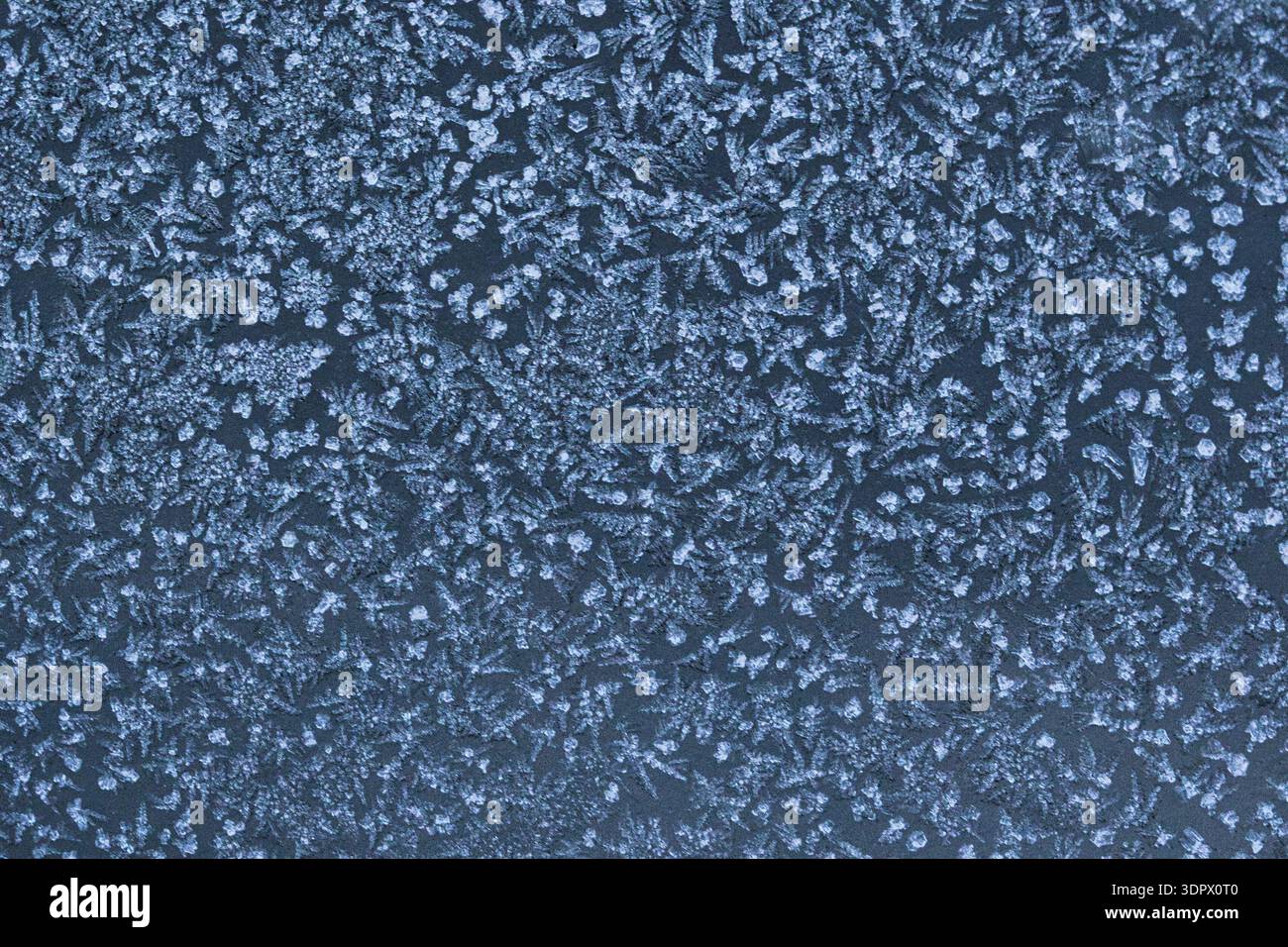 Consistenza astratta del gelo invernale con delicati motivi di cristallo di ghiaccio su una superficie ghiacciata. Sfondo ghiacciato naturale con dettagli simili a fiocchi di neve. Foto Stock
