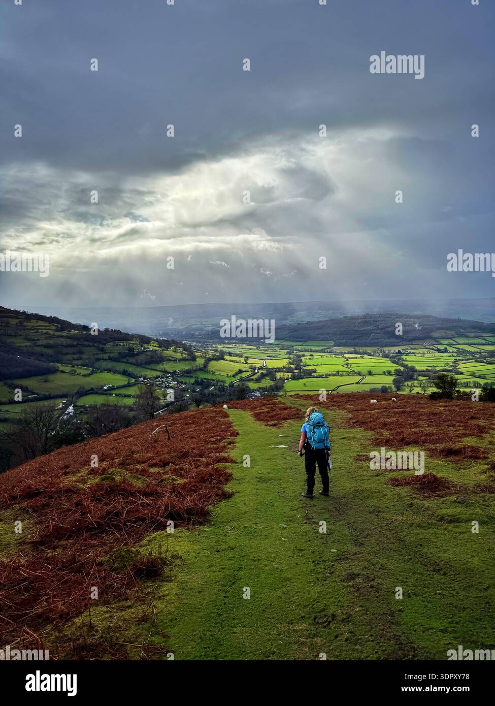 Guardando a sud dalla salita di Pen TIR, Cwmdu vicino a Crickhowell, Bannau Brycheiniog (Brecon Beacons) - Immagine stock catturata con smartphone