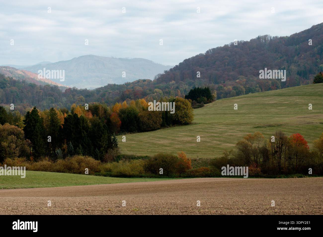 Tranquillo paesaggio di campagna. Tranquillo scenario naturale caratterizzato da ampi pascoli e alberi d'autunno Foto Stock