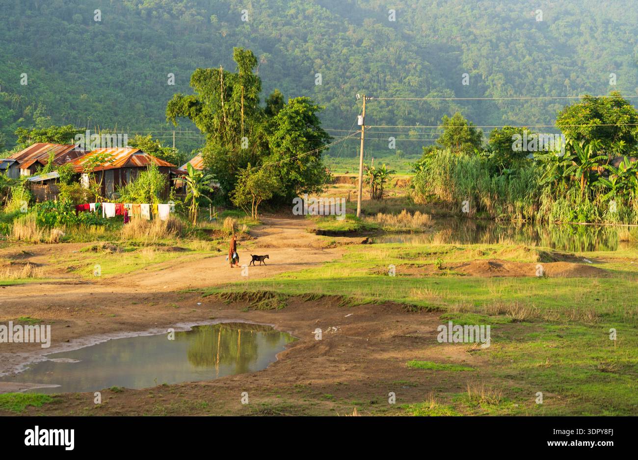 Bholaganj, Bangladesh - 27 agosto 2021: Vista di un tranquillo villaggio, dove case rustiche si annidano in mezzo a una vegetazione lussureggiante, sotto lo sguardo vigile di d Foto Stock