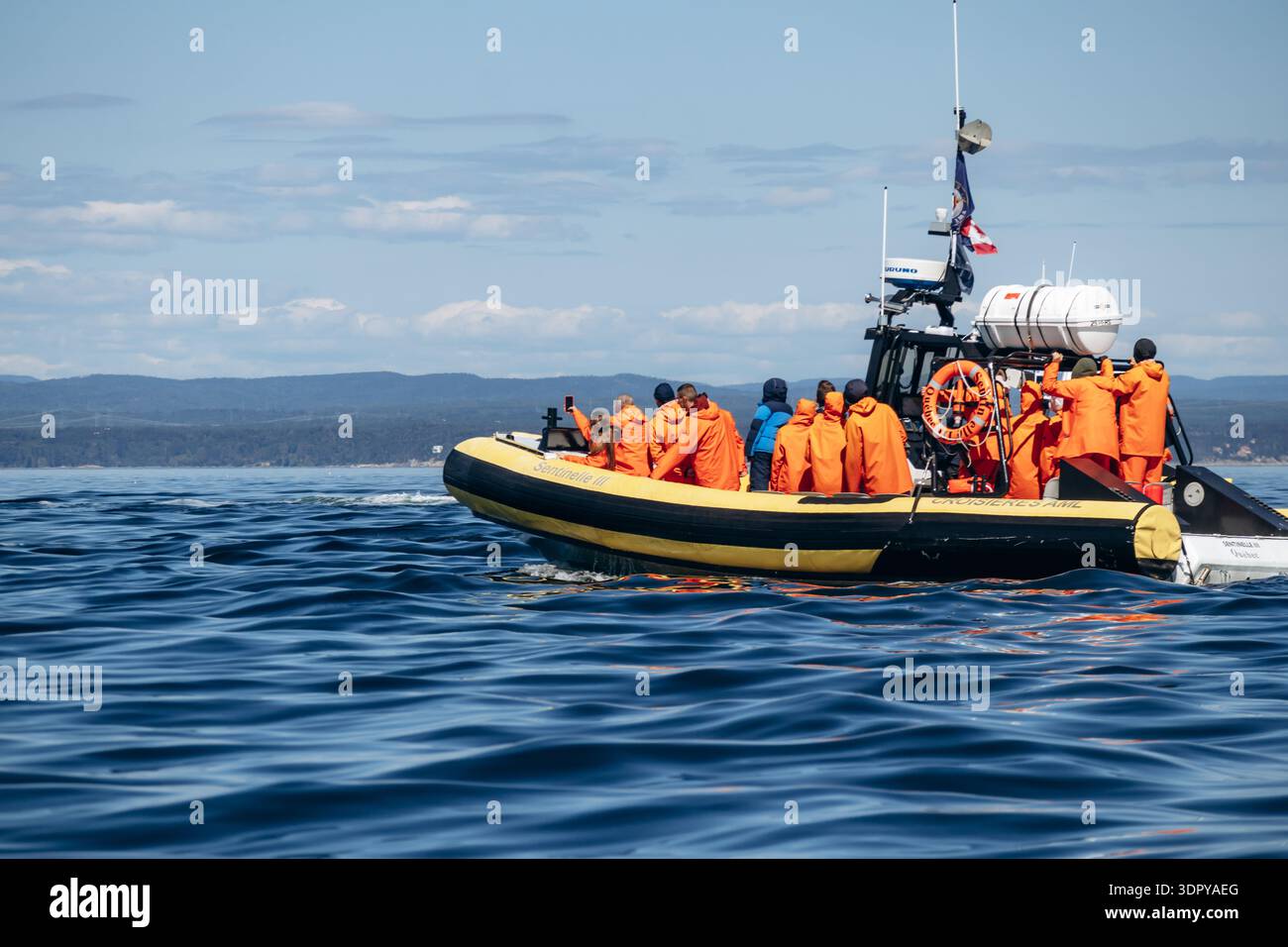 Tadoussac, Canada - 22 agosto 2025: Turisti che indossano giacche arancioni a bordo di gommoni zodiacali gonfiabili durante le escursioni di avvistamento delle balene sulla St Foto Stock