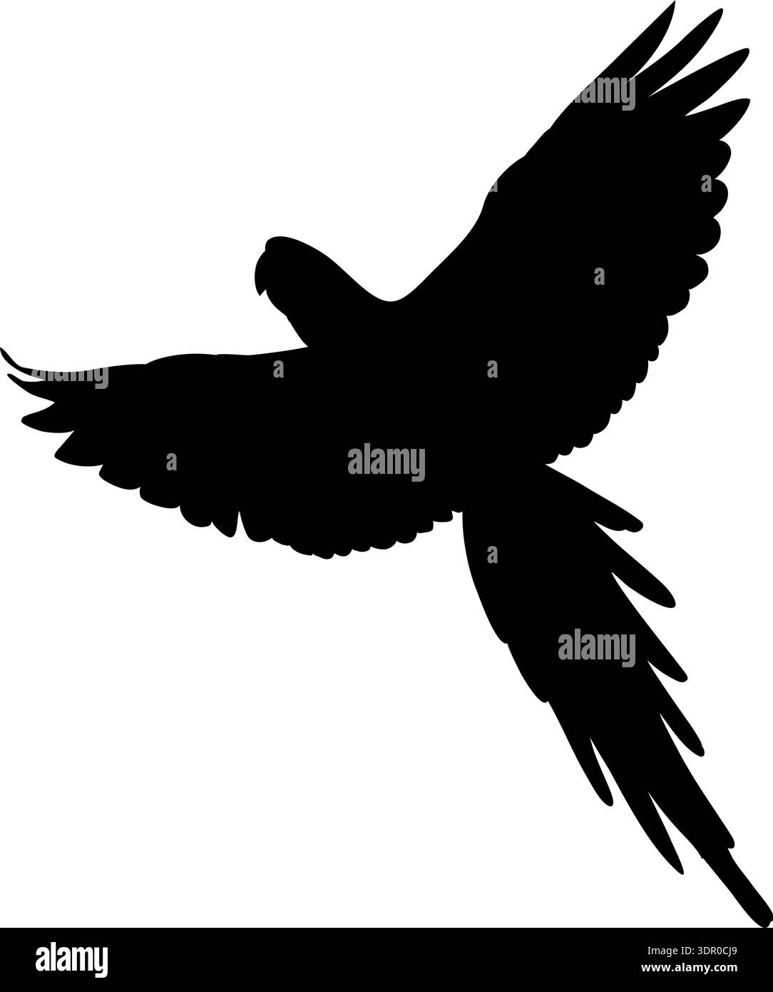 Volo di uccelli selvatici. Silhouette di pappagallo nella giungla nera Illustrazione Vettoriale