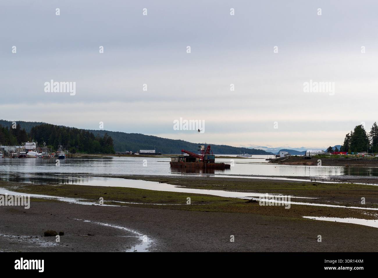 Port Hardy, BC Canada - 25 giugno 2024: Chiatta da lavoro vicino a Quarterdeck Marina con bassa marea con marea slough e litorale sempreverde. Foto Stock