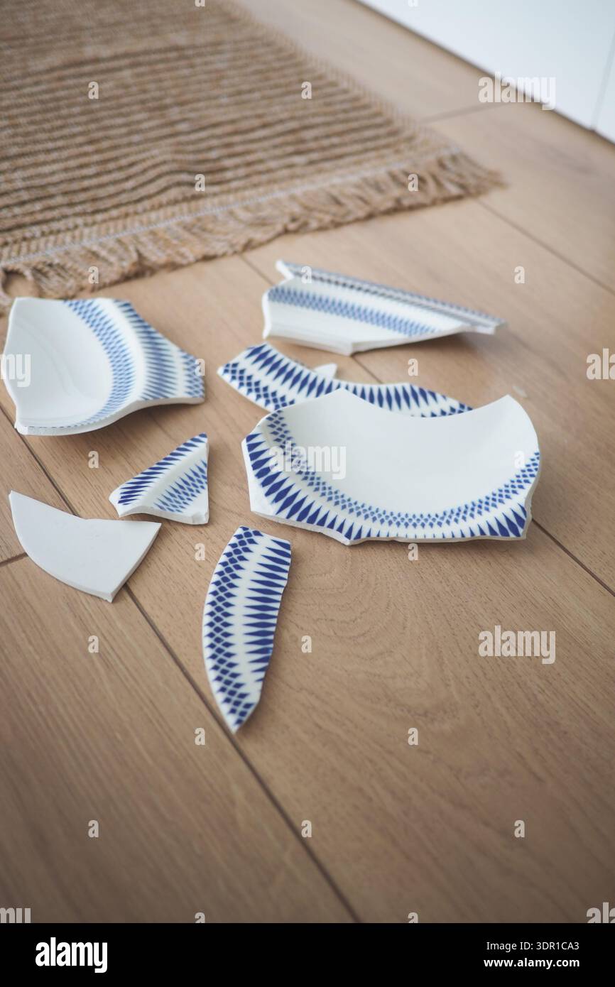 Pezzi rotti di una piastra in ceramica su pavimento in legno Foto Stock