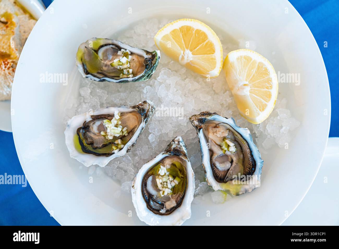 Deliziose ostriche su ghiaccio con limone, delizie di pesce e natura morta culinaria Foto Stock