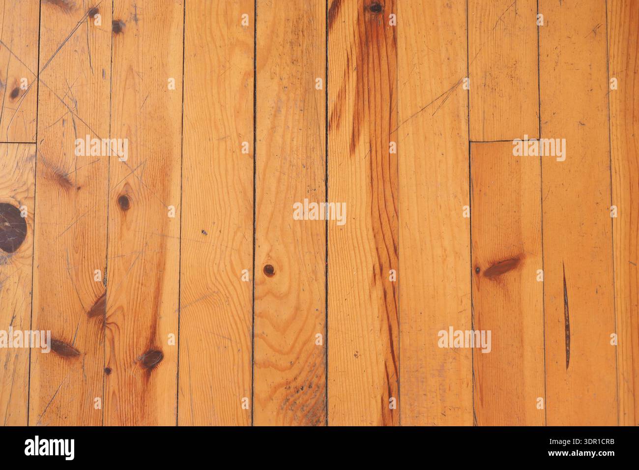 Pavimento in legno con motivo a grana in layout semplice Foto Stock