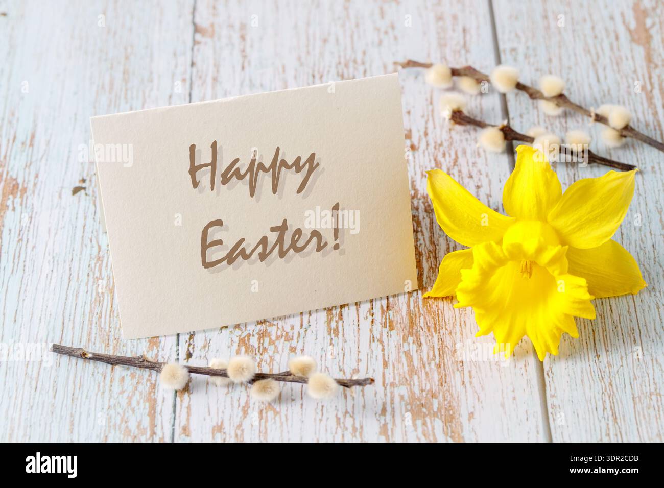 Tessera per le vacanze primaverili con ramo di salice e fiore di narcisi su sfondo in legno vintage. Cartolina di auguri mockup con testo di buona pasqua Foto Stock
