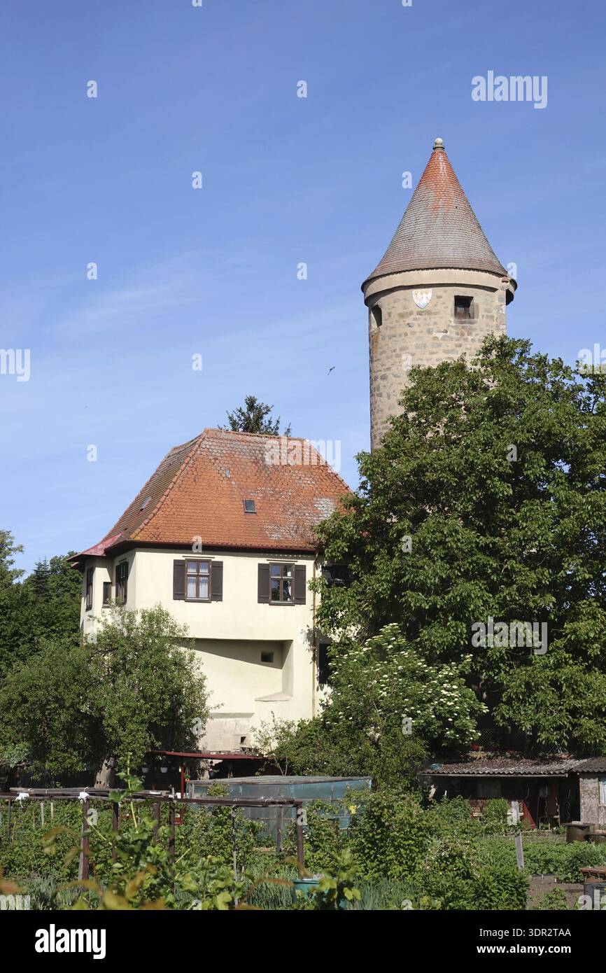 Torre di Salwart e canile ad angolo stand a Dinkelsbuehl Foto Stock