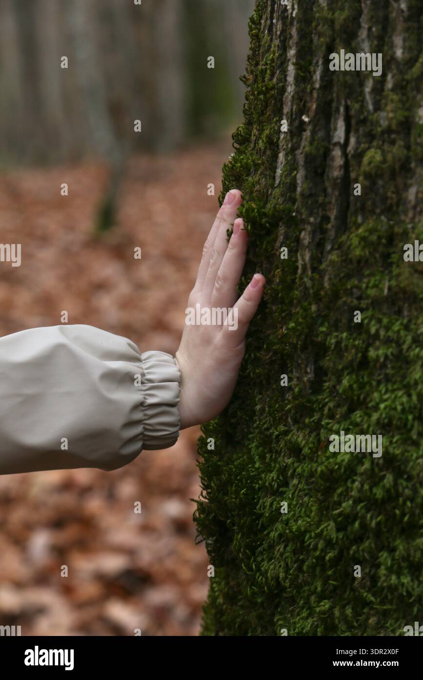 Bambini che toccano la corteccia degli alberi nella foresta: Connessione con la natura, mentalità, concetto di apprendimento sensoriale e concetto di consapevolezza ambientale Foto Stock
