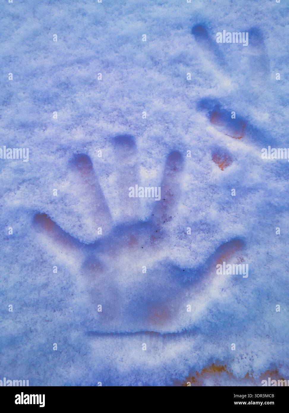Un'unica impronta chiara inserita in uno strato profondo di neve fresca invernale. Cattura la consistenza del ghiaccio e la sensazione di una mattina fredda in un Foto Stock