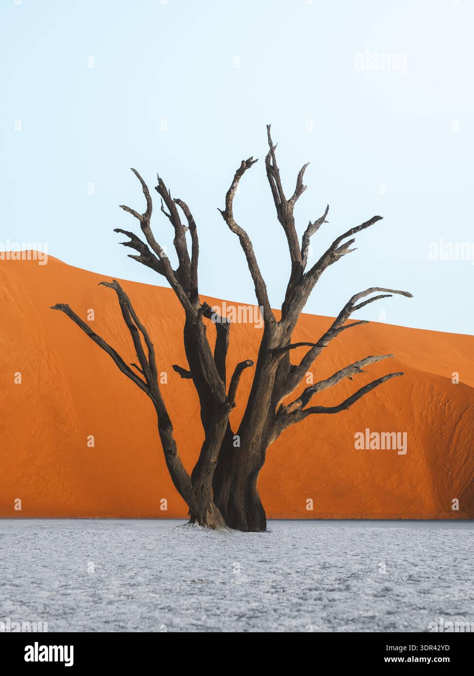 La vista di un albero morto e aspro si erge in argilla bianca fantasma sullo sfondo di una massiccia duna di sabbia arancione ondulata, Sossusvlei, Namibia. Foto Stock
