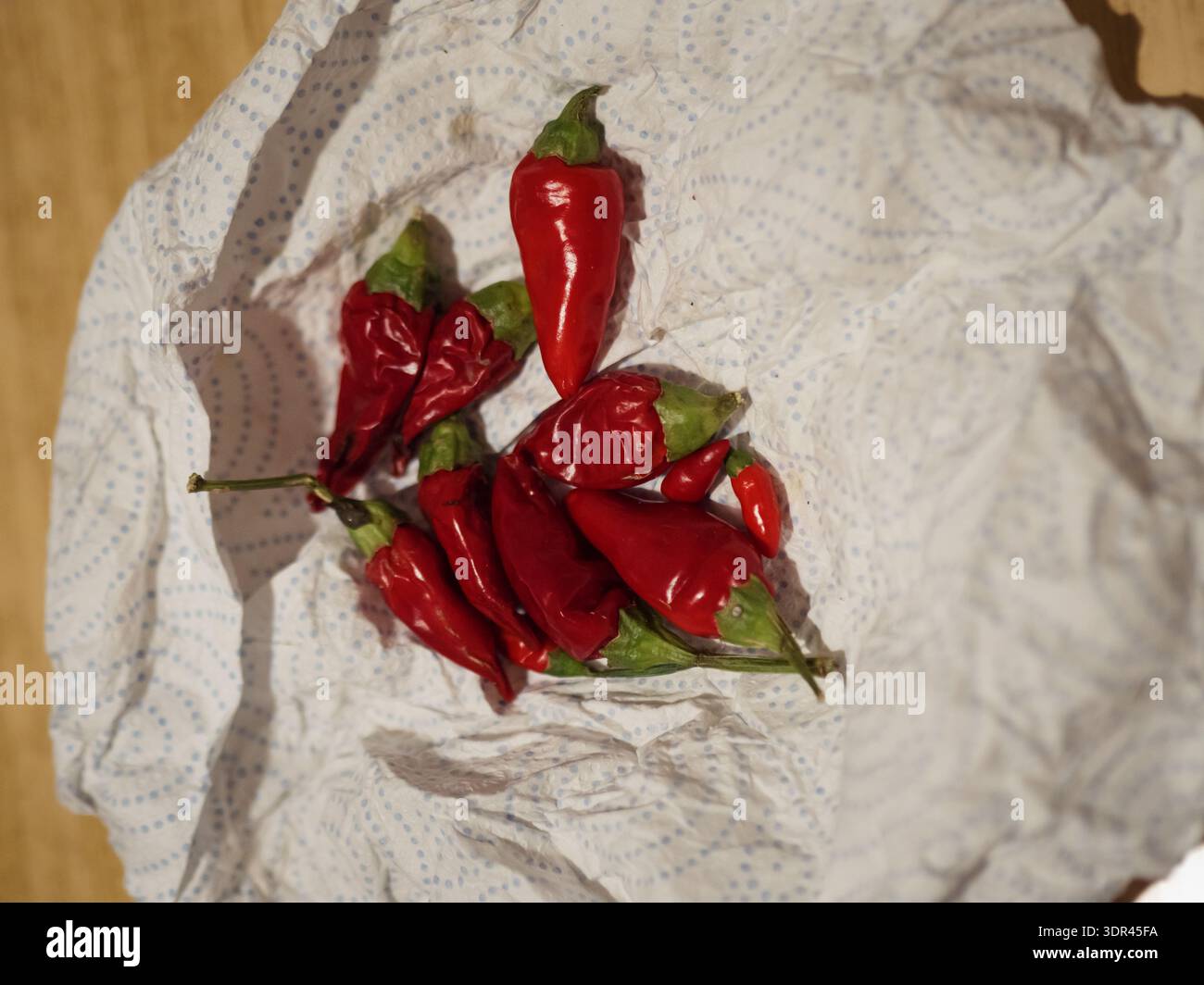 Mazzo di peperoncini rossi avvolti in un tovagliolo di carta bianca Foto Stock