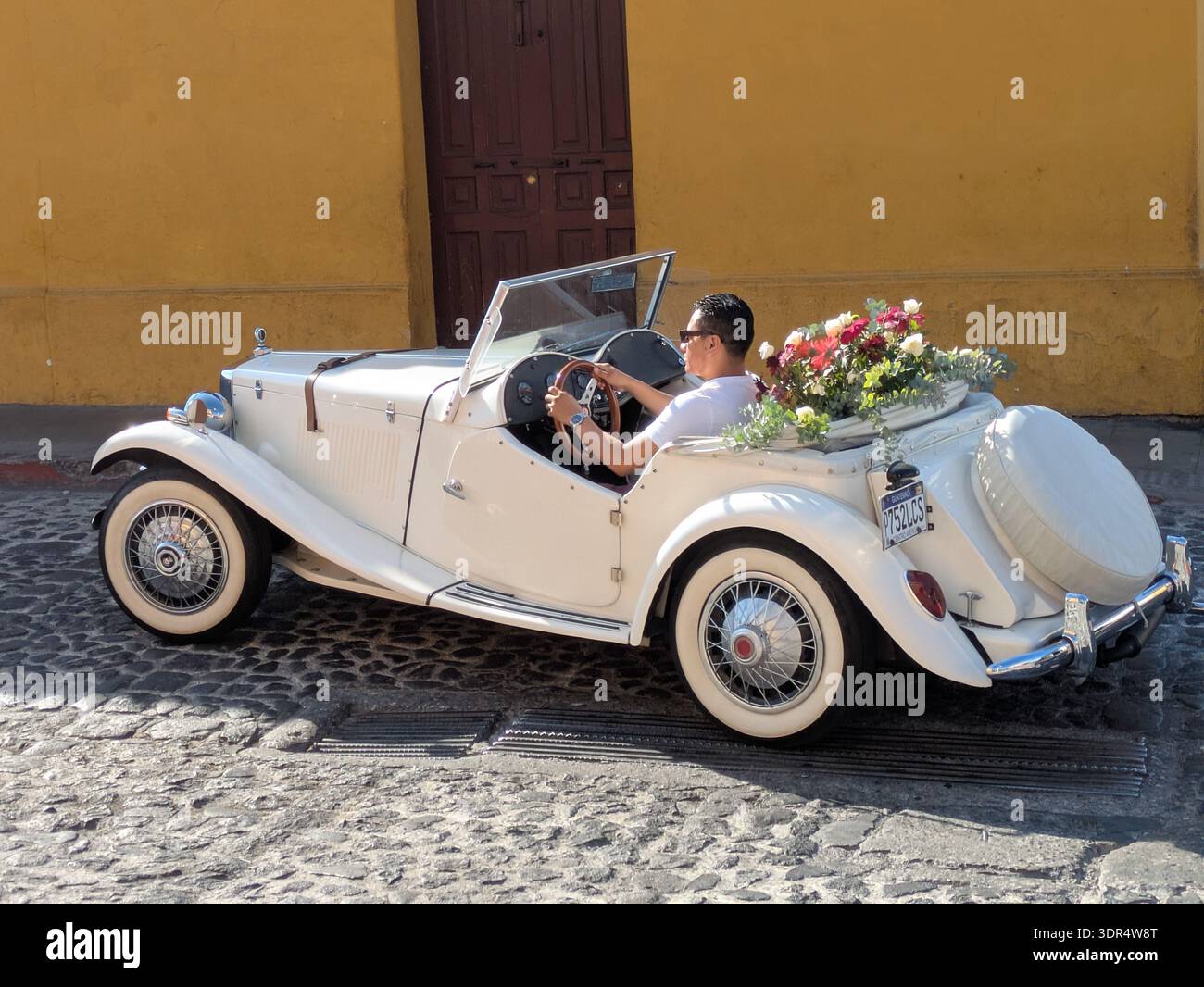 Uomo in un'auto MG classica bianca con decorazioni floreali Foto Stock