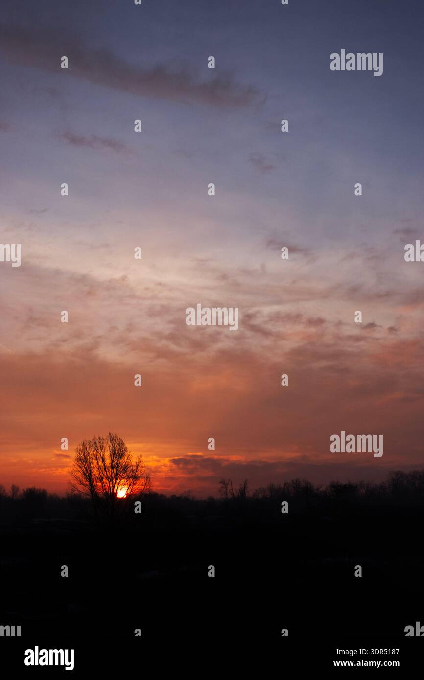 Spettacolare alba con nuvole arancioni e sagome di alberi sull'orizzonte del paesaggio rurale. Foto Stock