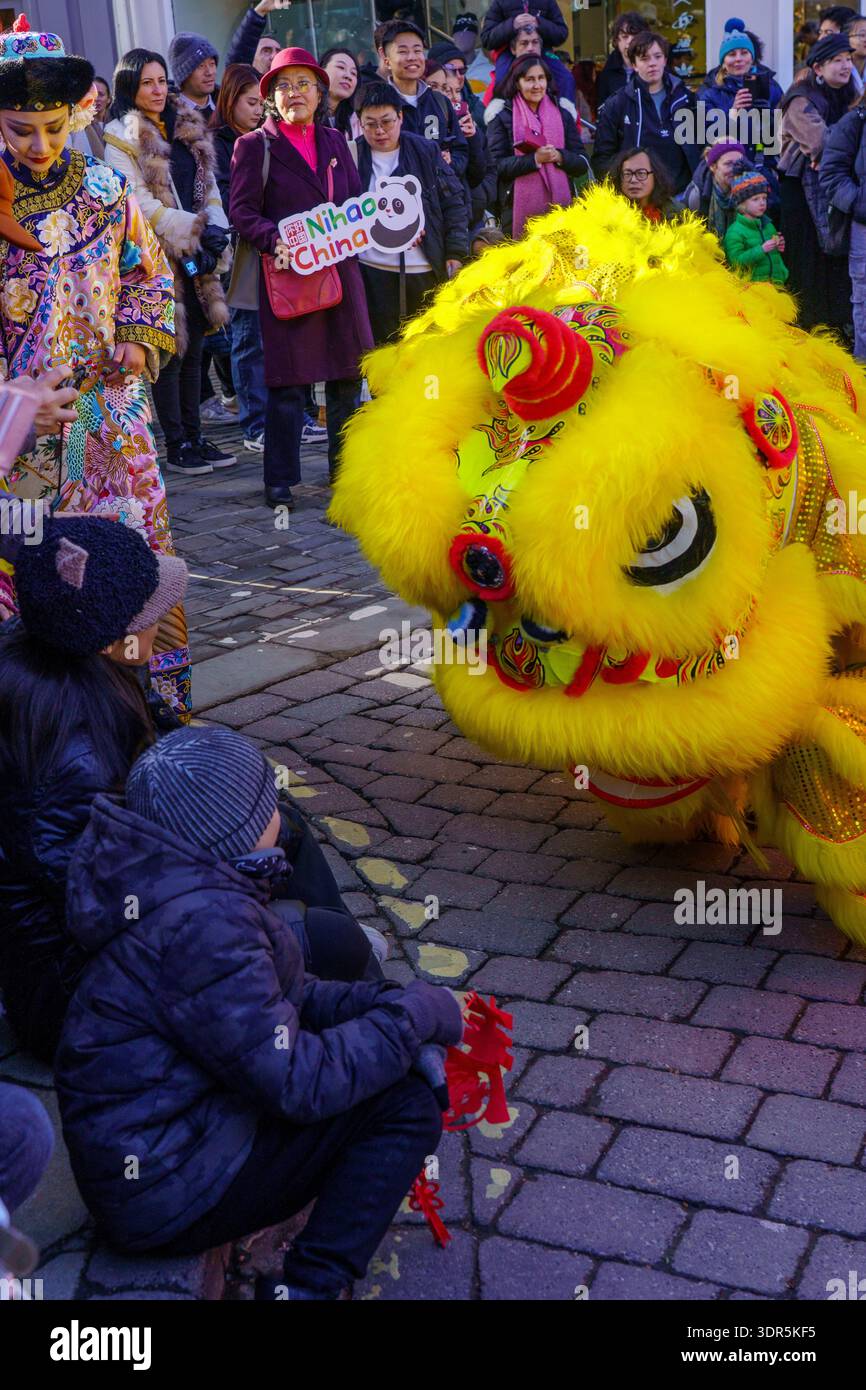 Un'interazione tra pubblico e una ballerina di leoni in costume durante una celebrazione del capodanno cinese, York, Yorkshire, Regno Unito. Foto Stock