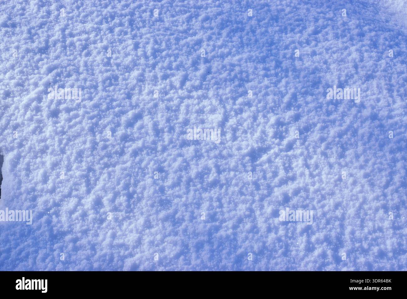 Texture invernale minimalista con lunghe ombre blu su neve bianca incontaminata. Foto Stock