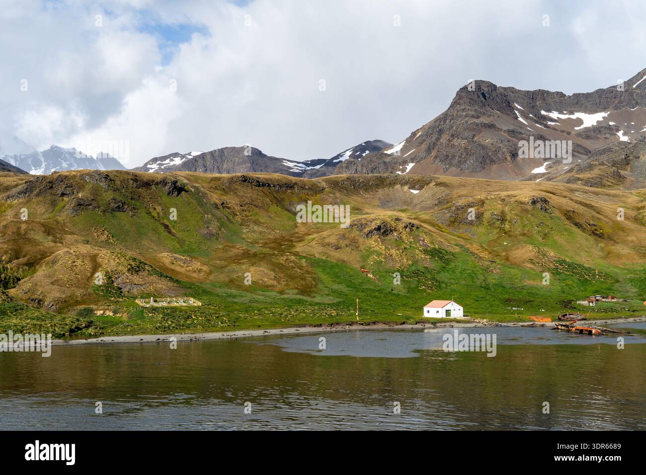 Ammira la terra di un cimitero storico presso una stazione di caccia alle balene abbandonata, Grytviken, Georgia del Sud Foto Stock
