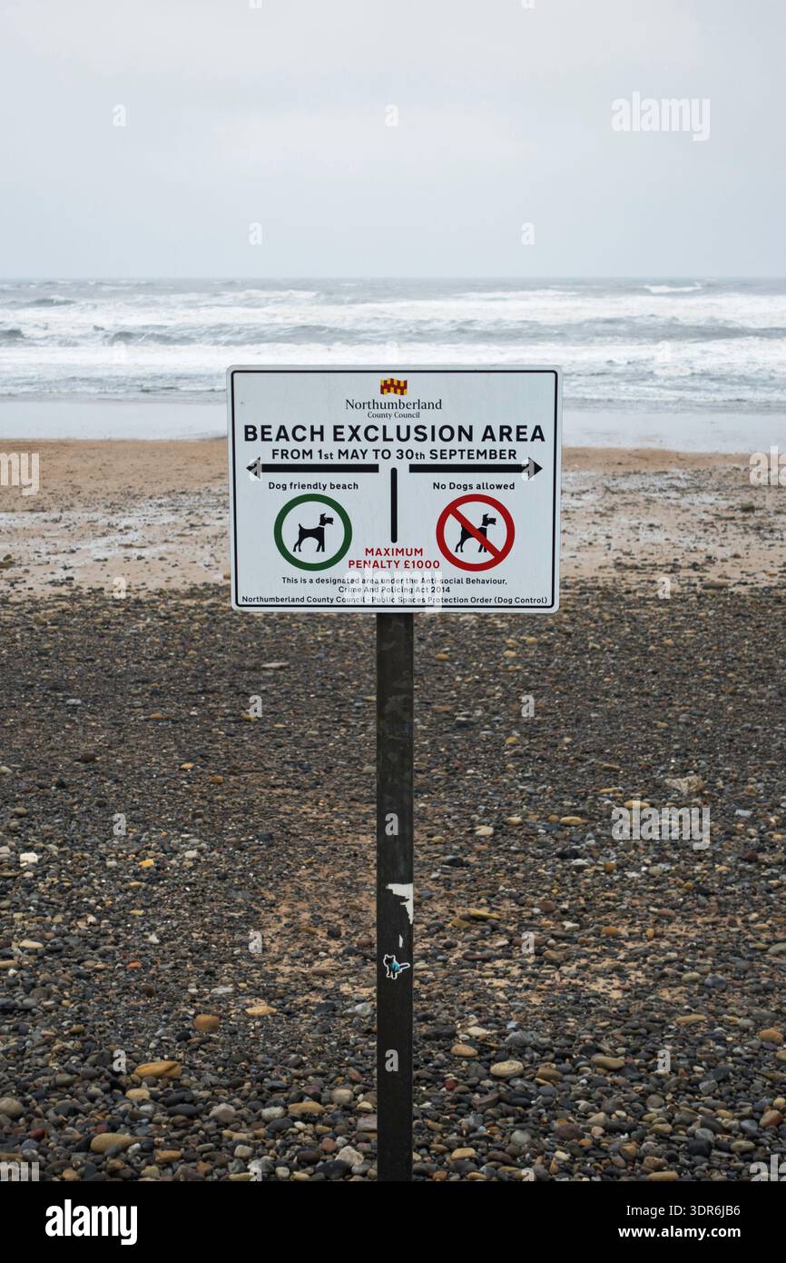 Molte spiagge del Regno Unito proibiscono l'uso da parte di cani in determinati periodi dell'anno, come Blyth, Northumberland, Regno Unito. Foto Stock