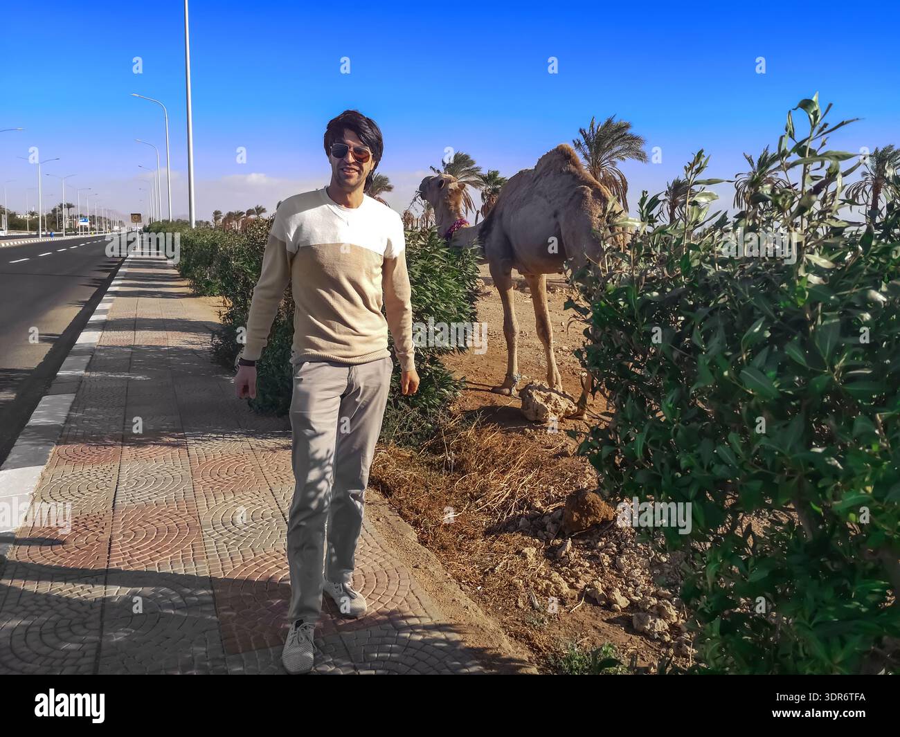 Uomo caucasico sorridente in posa sullo sfondo di un cammello con una sola megattera sulla strada di Sharm El Sheikh (Egitto). Ragazzo adulto vicino al dromedario su un deserto Foto Stock