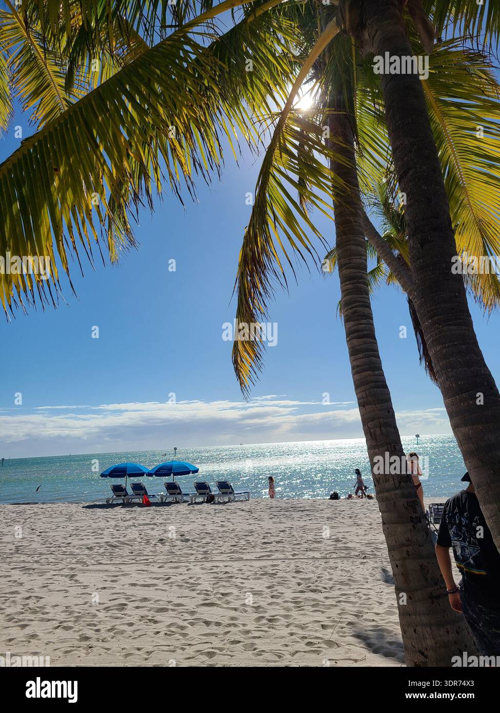 SOLO PER USO EDITORIALE - KEY WEST FLORIDA: Soleggiata spiaggia tropicale con palme e ombrelli blu, Key West. Una luminosa vista diurna di una spiaggia sabbiosa a Key West, Florida, incorniciata da tronchi di palma. Ombrelloni e sedie a sdraio blu si trovano vicino alle scintillanti acque turchesi sotto un cielo limpido. - Immagine stock catturata con smartphone