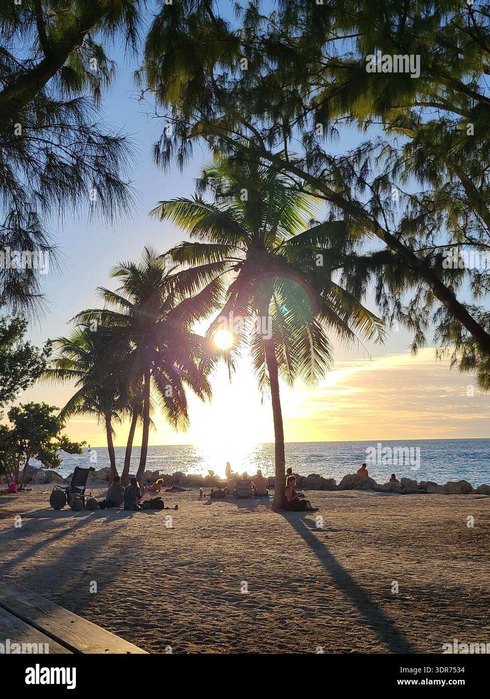 SOLO USO EDITORIALE - KEY WEST FLORIDA:: Tropical Beach Sunset through Palm Trees at Key West, Florida. Il sole che tramonta sbircia attraverso le fronde di palme pendenti su una spiaggia sabbiosa. Le persone si radunano sulla riva e sulla barriera rocciosa per guardare il tramonto sull'Oceano Atlantico. - Immagine stock catturata con smartphone
