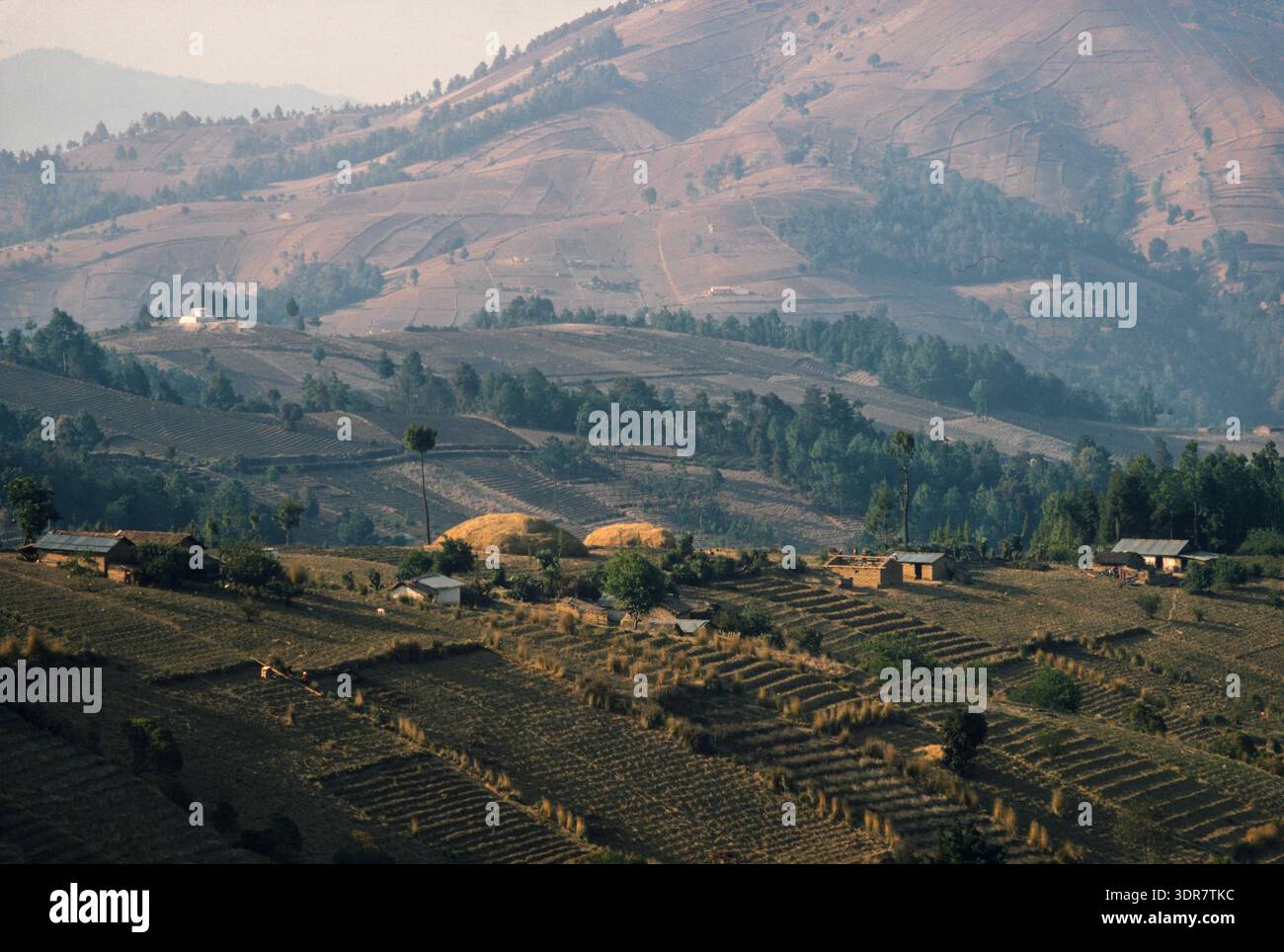 A patchwork of small-holder Farmers's Fields, Rural Guatemala Highlands, Guatemala, aprile 1986. Foto Stock