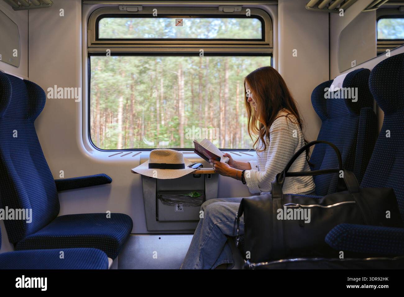 Donna che legge un libro nel compartimento del treno con vista sulla foresta Foto Stock