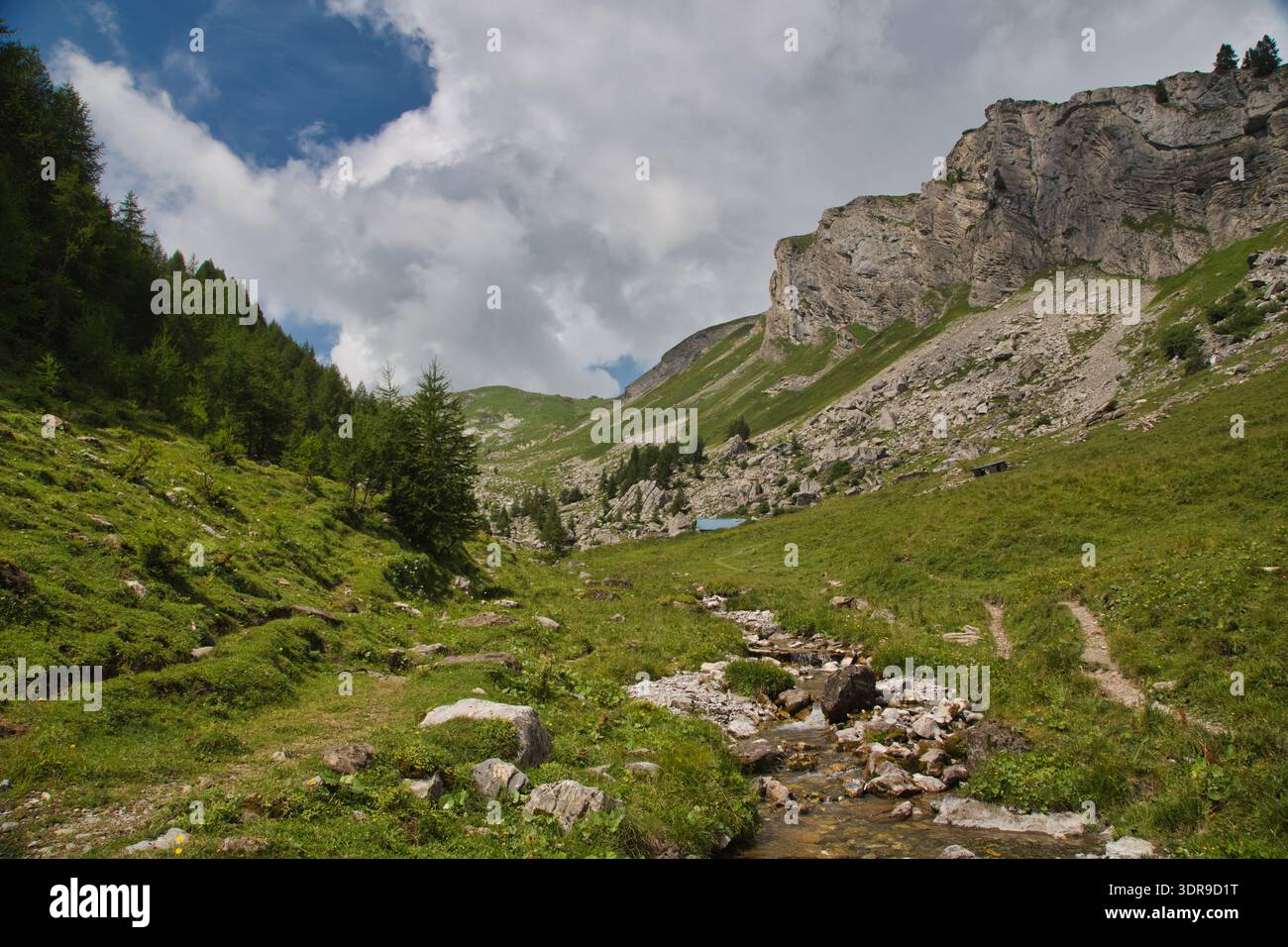 Vista panoramica di Derborence, con la sua lussureggiante valle e le suggestive montagne. Foto Stock