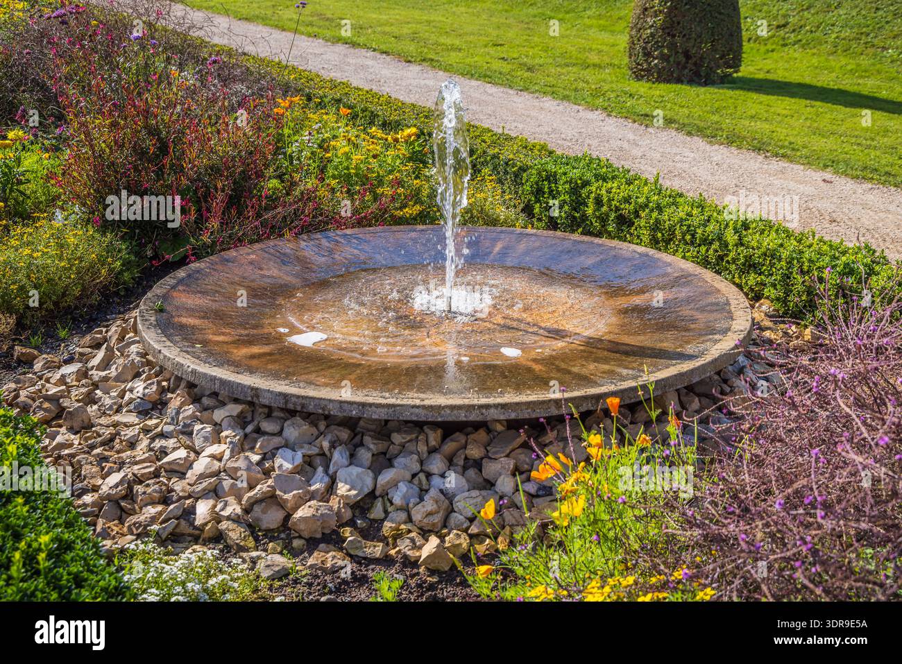 Giardino con fontana moderna e piante assortite Foto Stock