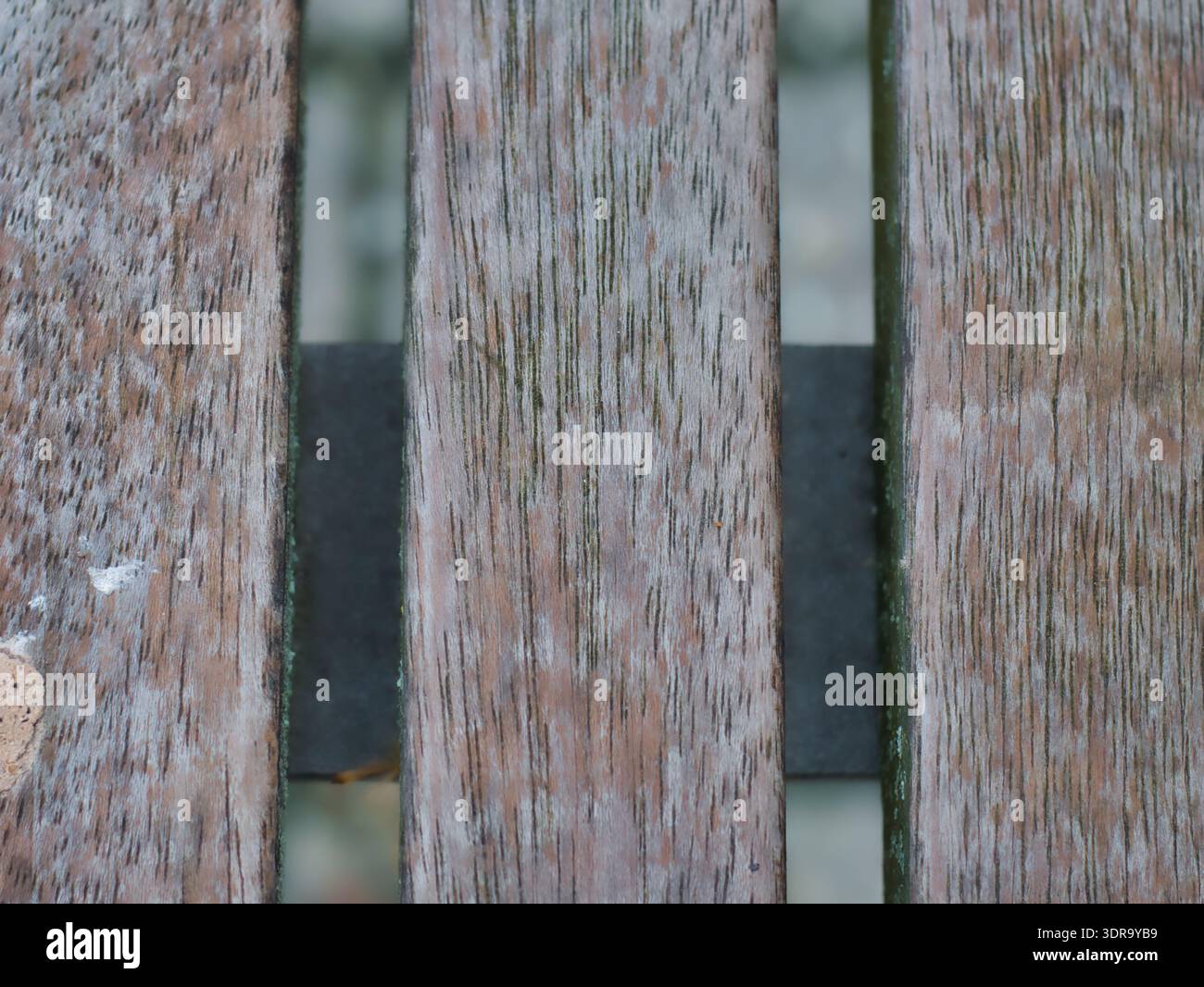 Vista dall'alto dettagliata delle tavole in legno invecchiato con usura naturale e note verdi mossy, perfetta per superfici rustiche, fondali da costruzione o surfa organico Foto Stock