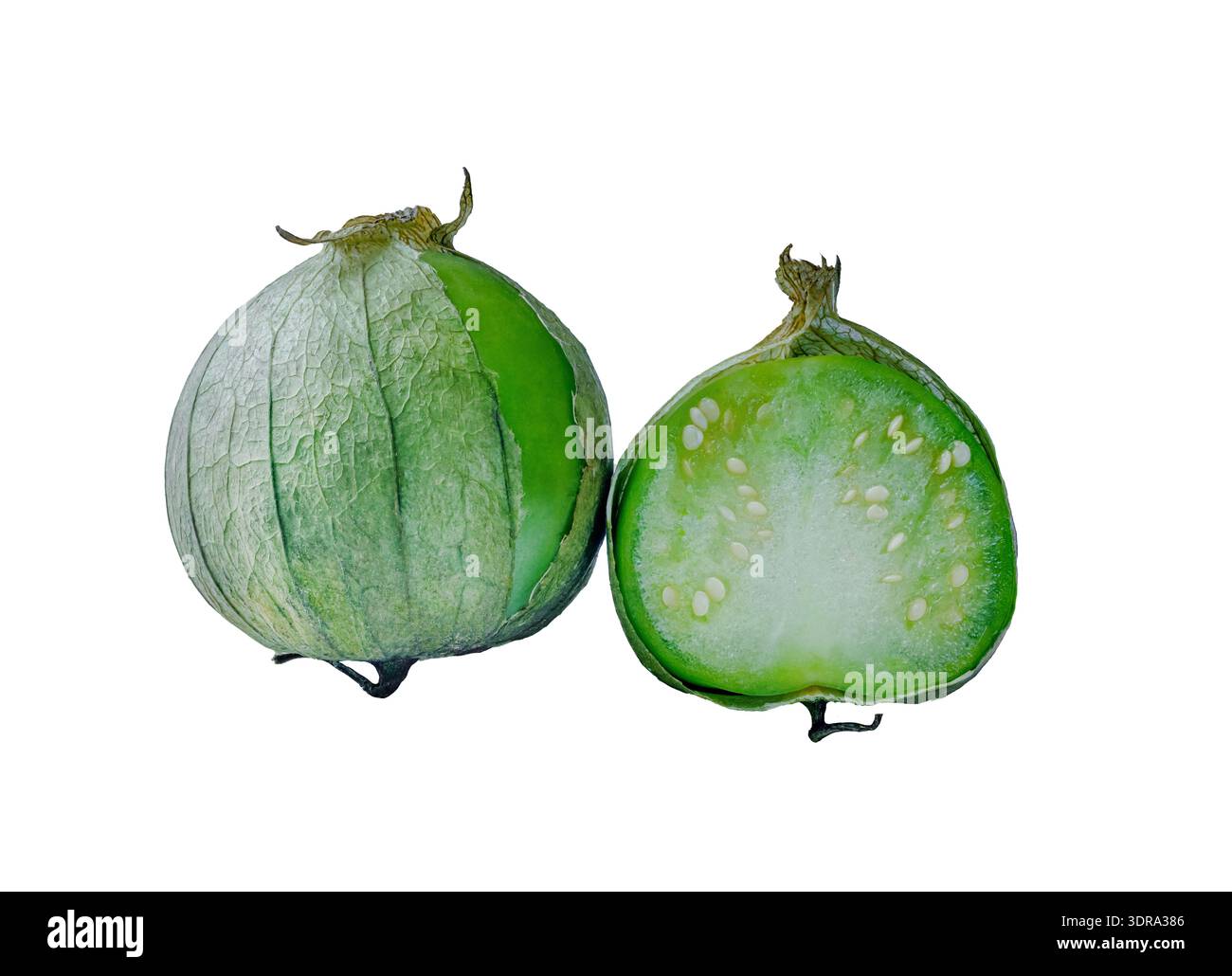Physalis philadelphica. Pomodoro o pomodoro buccia messicano Foto Stock