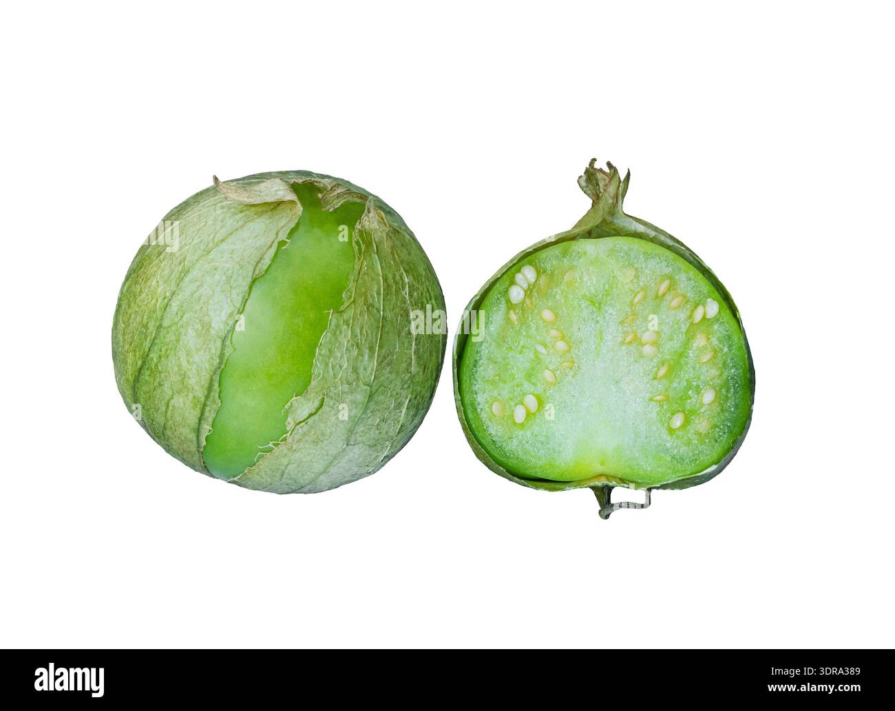 Physalis philadelphica. Pomodoro o pomodoro buccia messicano Foto Stock