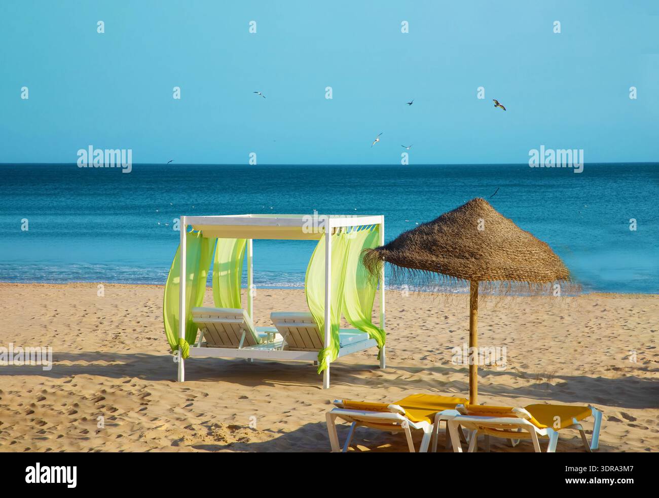 File di sdraio e ombrelloni sulla spiaggia sabbiosa Foto Stock