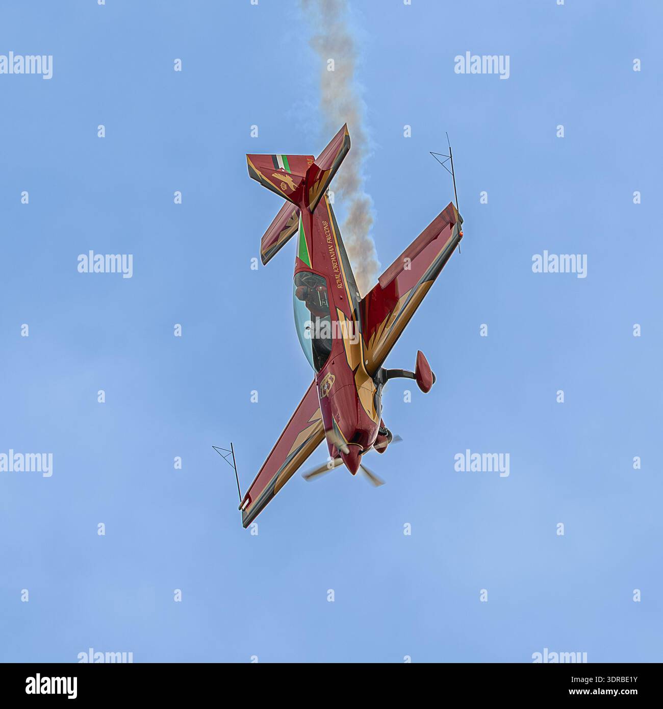Il Royal Jordanian Falcons Foto Stock