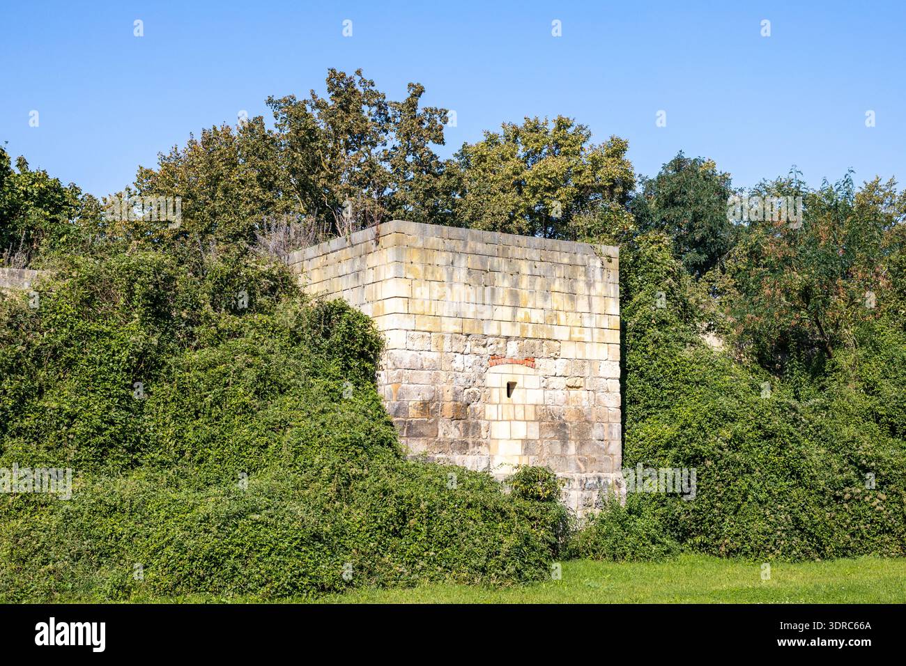 Vista su Halberstadt Foto Stock