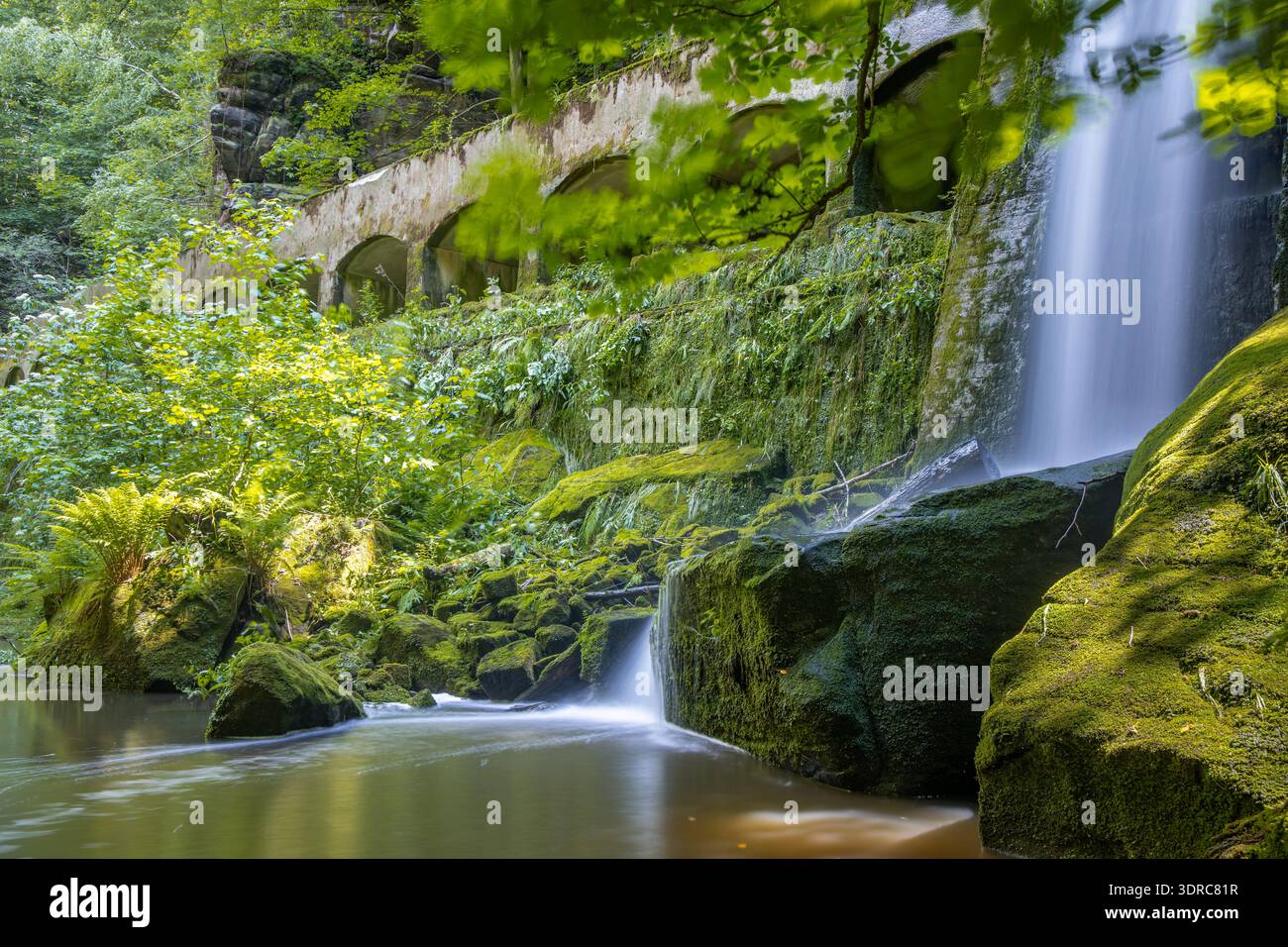 Vecchia centrale idroelettrica di Niezelgrund, cascata della gola di Lohmen Foto Stock