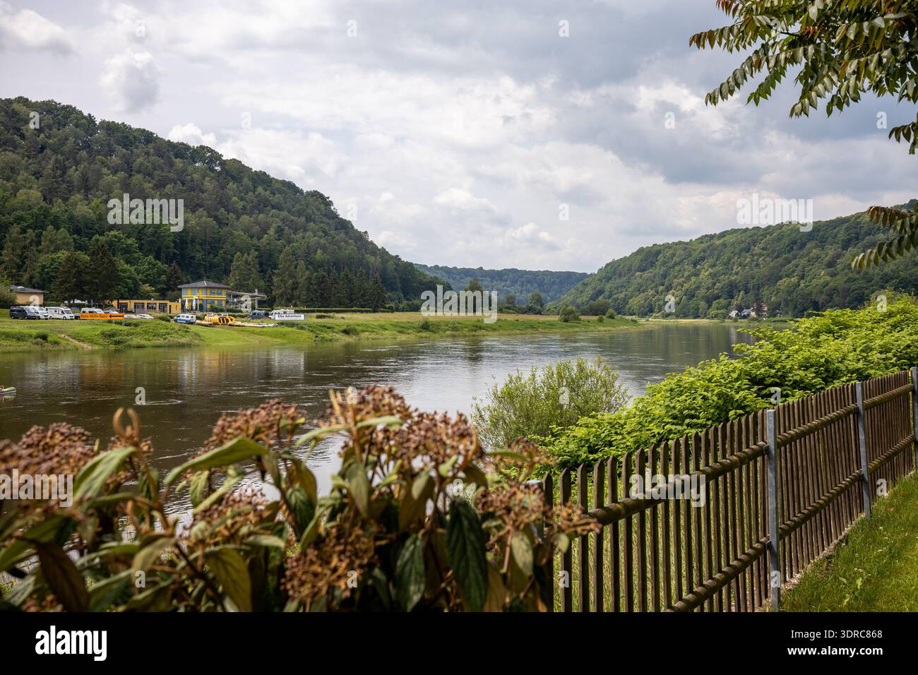 Il paesaggio dell'Elba vicino a Bad Schandau Foto Stock