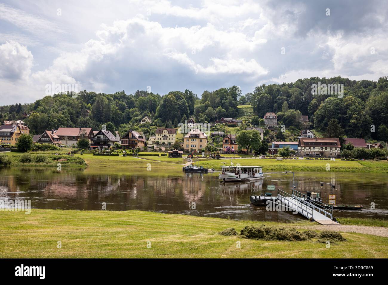 Il paesaggio dell'Elba vicino a Bad Schandau Foto Stock
