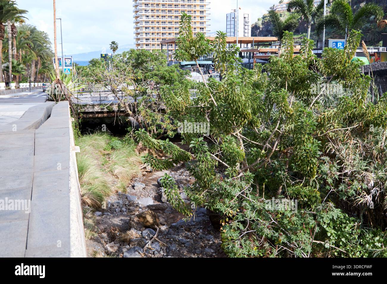 torrente che scorre attraverso la gola di martianez barranco puerto de la cruz tenerife isole canarie spagna Foto Stock