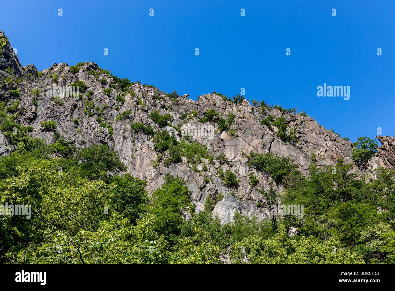 Ripida parete rocciosa nel Bodetal Harz Foto Stock
