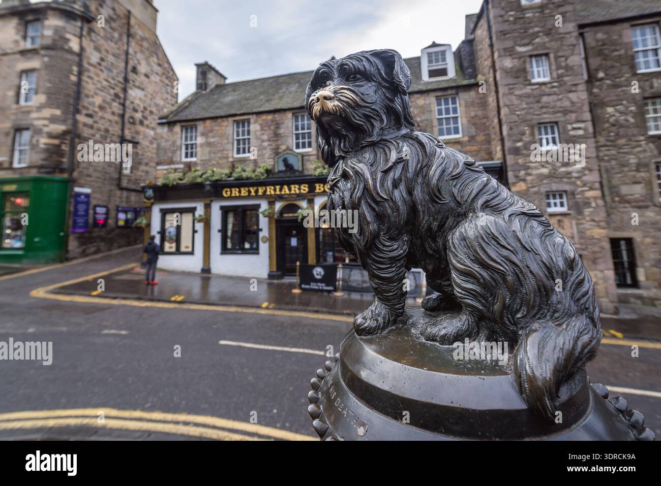 Statua di Greyfriars Bobby pub a Edimburgo, la capitale della Scozia, parte del Regno Unito Foto Stock