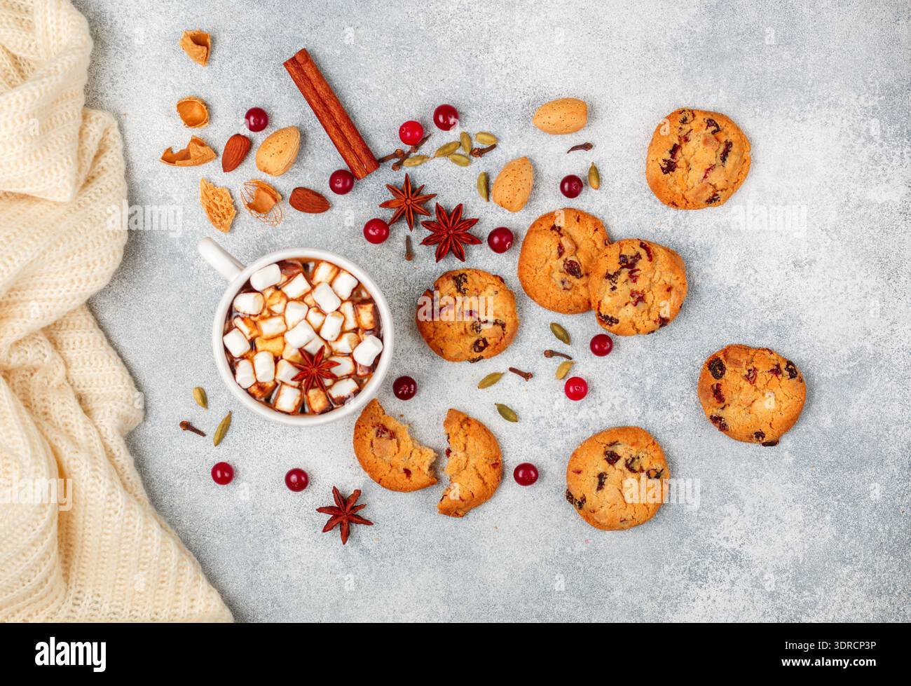 Cioccolata calda (caffè, cacao) con marshmallow in una tazza bianca e biscotti fatti in casa con mirtilli rossi, mandorle e spezie (canapa Foto Stock